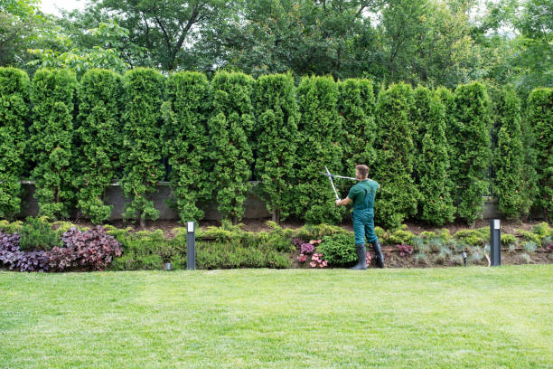 Best Emergency Tree Removal  in Guyton, GA