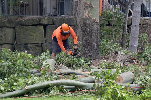 Best Arborist Consultation Services  in Guyton, GA